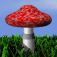 Champignons (Lien AppStore) 
